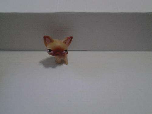 Little Pet shop sharp ears dog