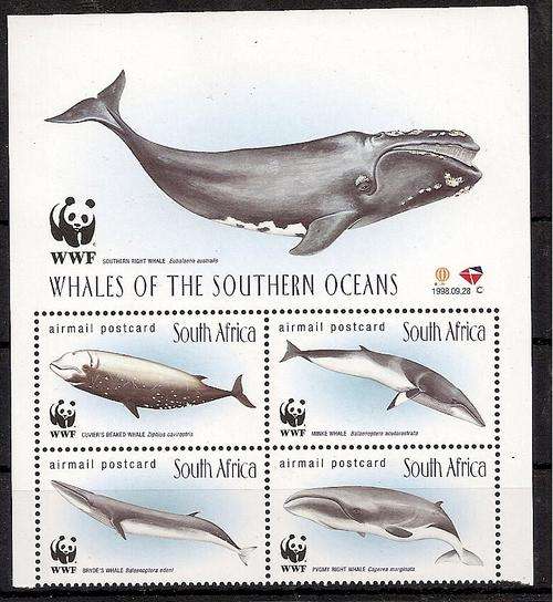South Africa 1998 Whales block of 4 unmounted mint