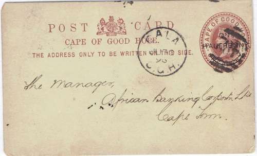 Cape of Good Hope 1896 QV one halfpenny postcard with proving Cala BONC 482 very fine