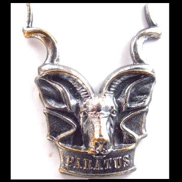 S.W.A. Area Force Cap Badge.