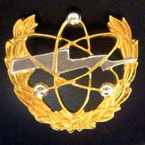 S.A.A.F. Communications Mustering Metal Badge.
