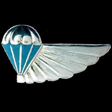 Air Supply Metal Half Wing.