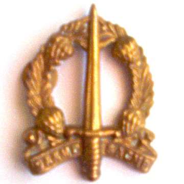 Military Police Brass Cap Badge.