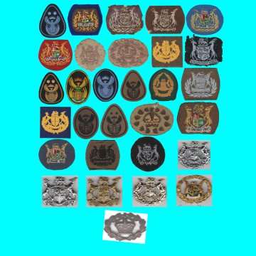 A Lot Of 30 Different Sargent Major And Warrent Officer Badges From 1 W.W. To Present Time.