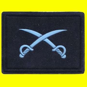 S.A.A.F. -  P.T. Instructor Rubberized Badge without the Eagle.