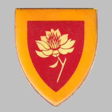 S.A. Women's College Metal Shoulder Flash - All Pins Missing.