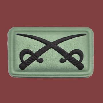 PT Instructor Rubberized badge For Camo 2000.