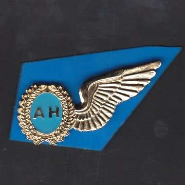 S.A.A.F Air Hostess Metal Half Wing.