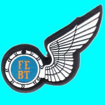 S.A.A.F Flight Engineer Half Wing - Rubberized.