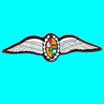 S.A.A.F Pilots Wings - Rubberized.