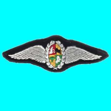 S.A.A.F Pilot Wings - Full size - Bush War Period - Embroided with Metal Backing Plate and Two Pins.