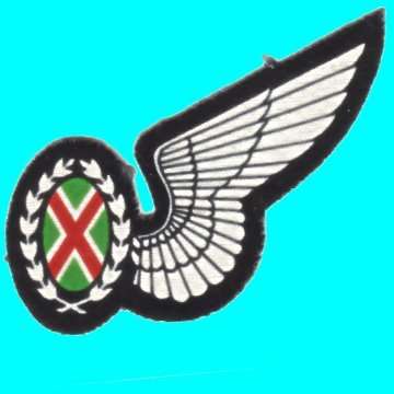 S.A.A.F Commando Observer Half Wing - Printed on thin cloth.