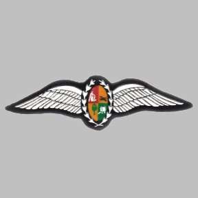 S.A.A.F Pilots Wings - Rubberized.