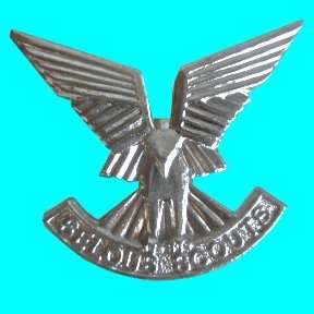 Selous Scouts Anodised Beret Badge With Manufactures Name And The Word Rhodesia.