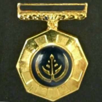 Pro Patria Medal (Full Size) without a Ribbon.