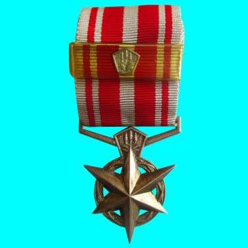 Old S.A.P. 10 Year - Combating Terrorism - Made Out To Constable G.J.D Claassen - 60159 H.