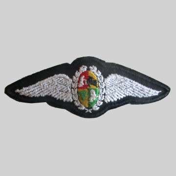 S.A.A.F Pilot Full Wings - Pins Intact.