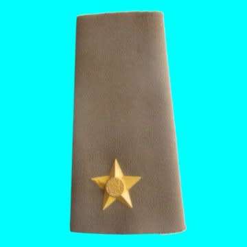 S.A.D.F Second Lieutenant Rubberized Slip-On Rank Insignia - One Only.