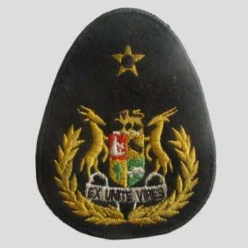 Regimental Sergeant Major With Old Type Code Of Arms - Embroidered - Pins Intact.