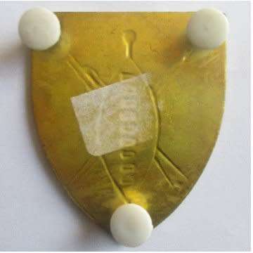 Transkei Defence Force Metal Shoulder Flash - Three Pins Intact.