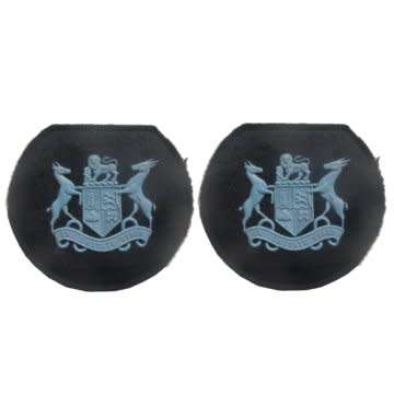 S.A.A.F Warrant Officer Class ll Rubberized Rank Insignia - Pair.