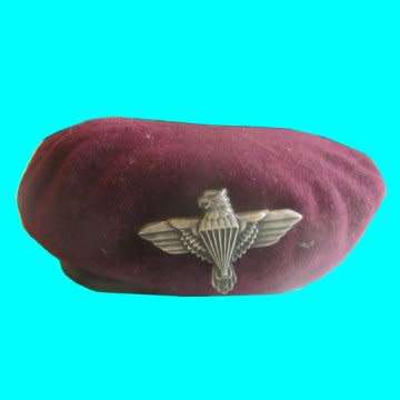 44 Para Battalion Badge And Beret.