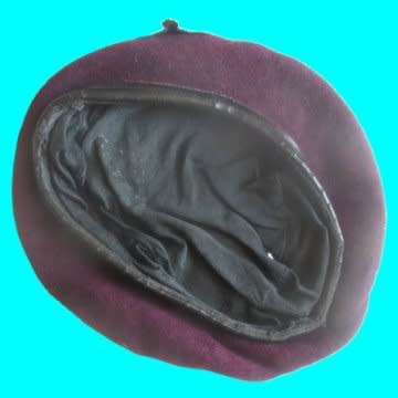 44 Para Battalion Badge And Beret.