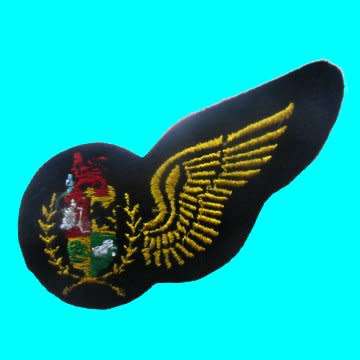 S.A.A.F Navigator Sew-On Half Wing - Embroidered.