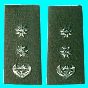 A Pair of S. A. Army Full Colonel's Metal Rank Insignia on Board.