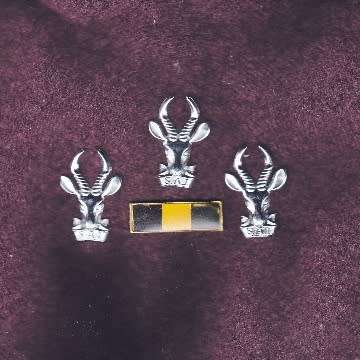 Recce And Para Beret With Three Bokkoppe And Balkie.