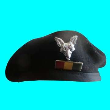 Army Intelligence Corps Beret, Balkie And Badge - All Pins Itact.