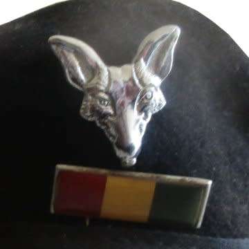 Army Intelligence Corps Beret, Balkie And Badge - All Pins Itact.