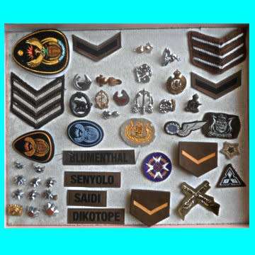 Group Of S.A.D.F Badges And Ranks Selling As A Lot.