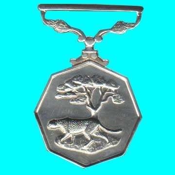 Southern Africa Full Size Medal - Double Cast Without Ribbon
