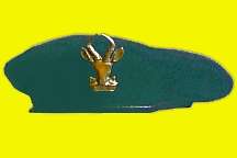 S.A. Infantry Corps Beret and Badge.