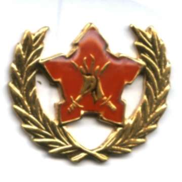 5 Year Voluntary Service Badge 1980's Onwards.