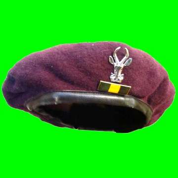 Recce Beret with Small Springbokhead Chrome Badge with Green, Yellow and Black Infantry Balkie.