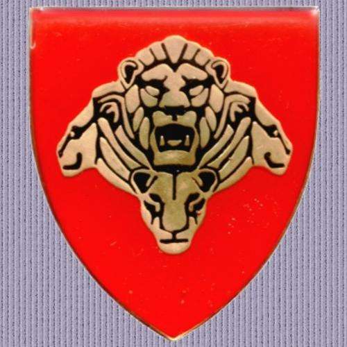 SA Army - Pride Of Lions Metal Shoulder Flash.