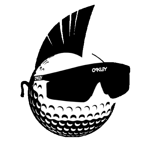 OAKLEY SUNGLASSES! JULIET. BRAND NEW!