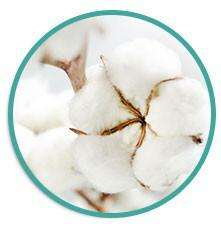 Eleaf EC Head 0.3ohm Coil FOR PICO KIT/MELO 3 TANK (PACK OF 5)