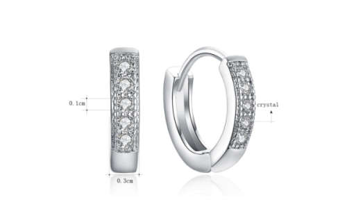 Dazzling Cr. Diamonds in 925 Sterling Silver Earrings Internationally Imported Filled Earrings