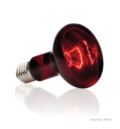 Exo Terra 100W Infra Red Lamp