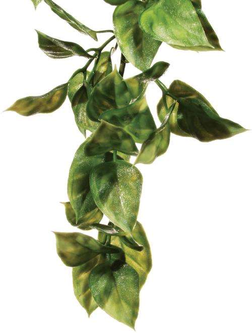 EXO TERRA Hanging Jungle Plant - Amapallo (Small)