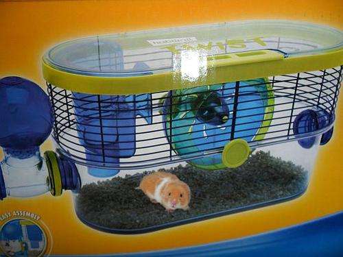 Other Pet Supplies HABITRAIL TWIST Hamster Cage was sold for 350.00 on 22 Aug at 12 01 by CoolGoodies in Pretoria Tshwane ID 71020756