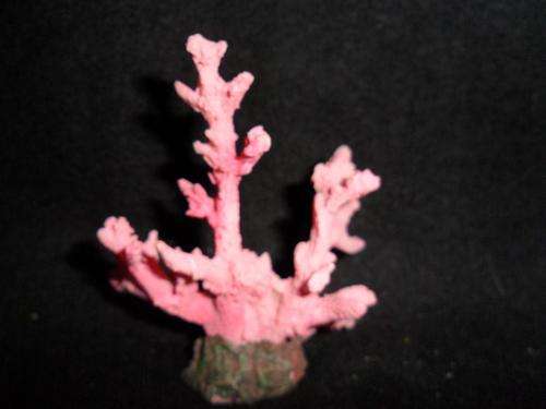 ORNAMENT MINI CORAL