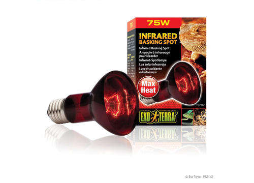 Exo Terra 75W Infra Red Lamp
