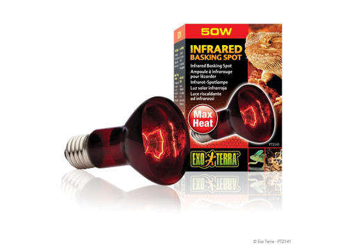 50W Infra Red Lamp