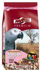VERSELE LAGA AFRICAN PARROT
