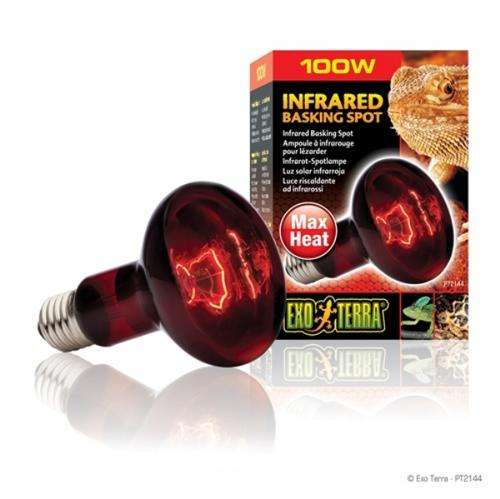 100W Infra Red Lamp