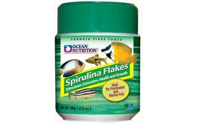 OCEAN NUTRITION - SPIRULINA FLAKES 70g